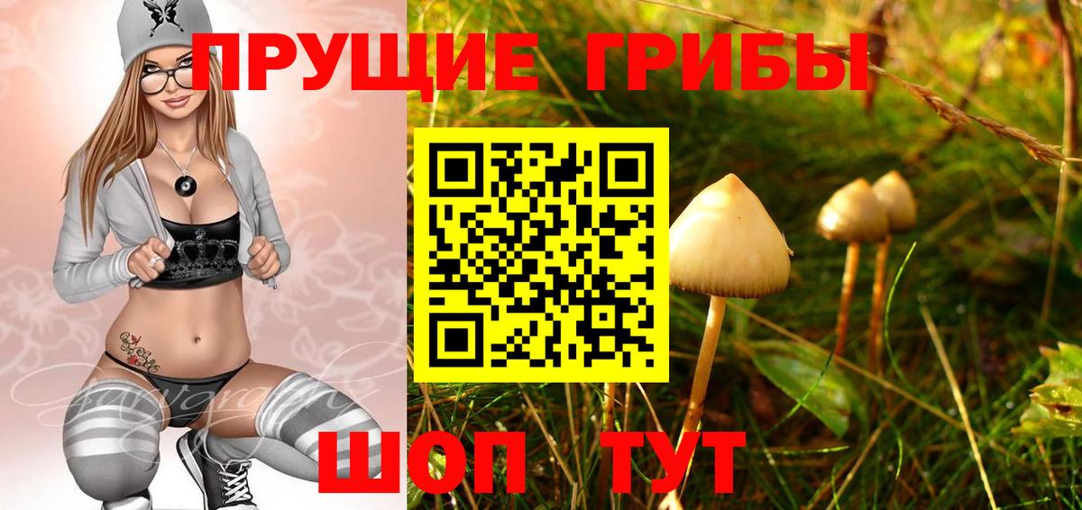 Обь  купить   Вход с VPN  Галлюциногенные грибы Cubensis 