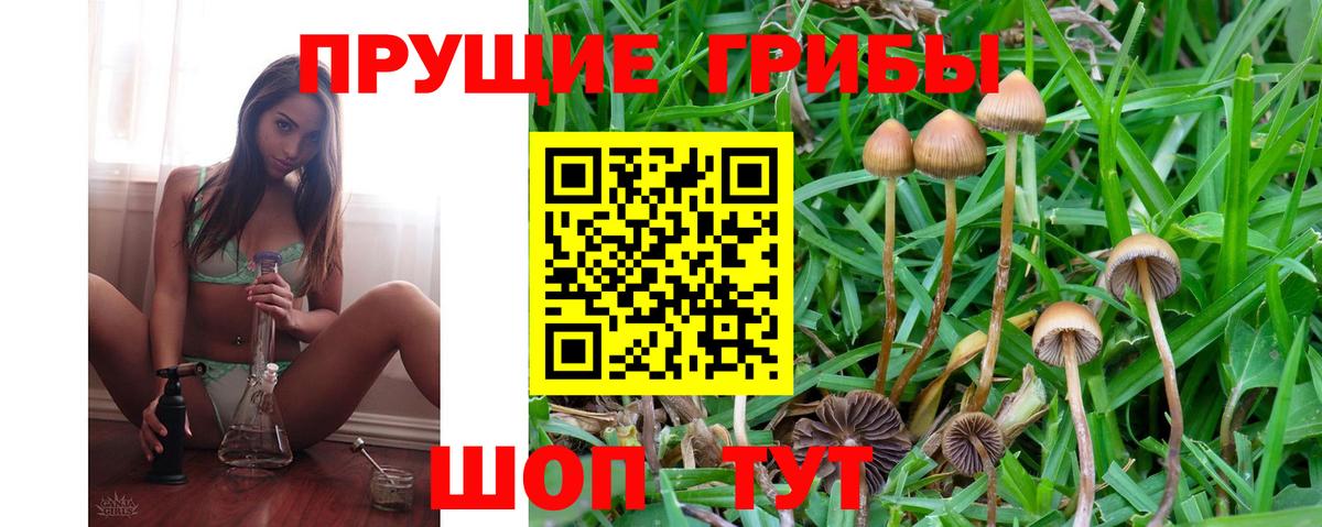 Псилоцибиновые грибы MAGIC MUSHROOMS Обь